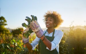 Farm Learning