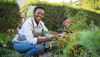 Farm Training Program