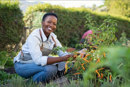 Farm Training Program