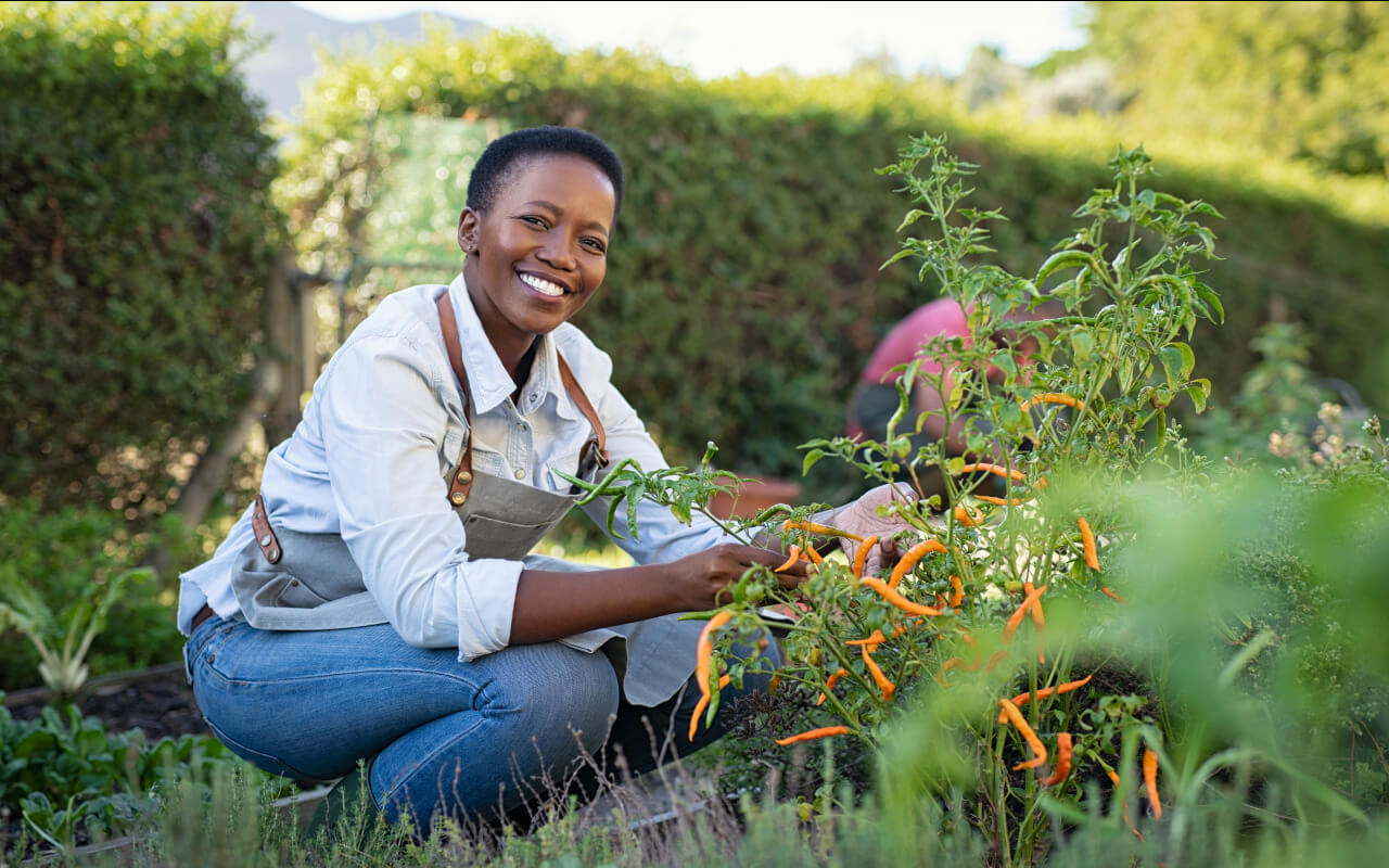 Farm Training Program