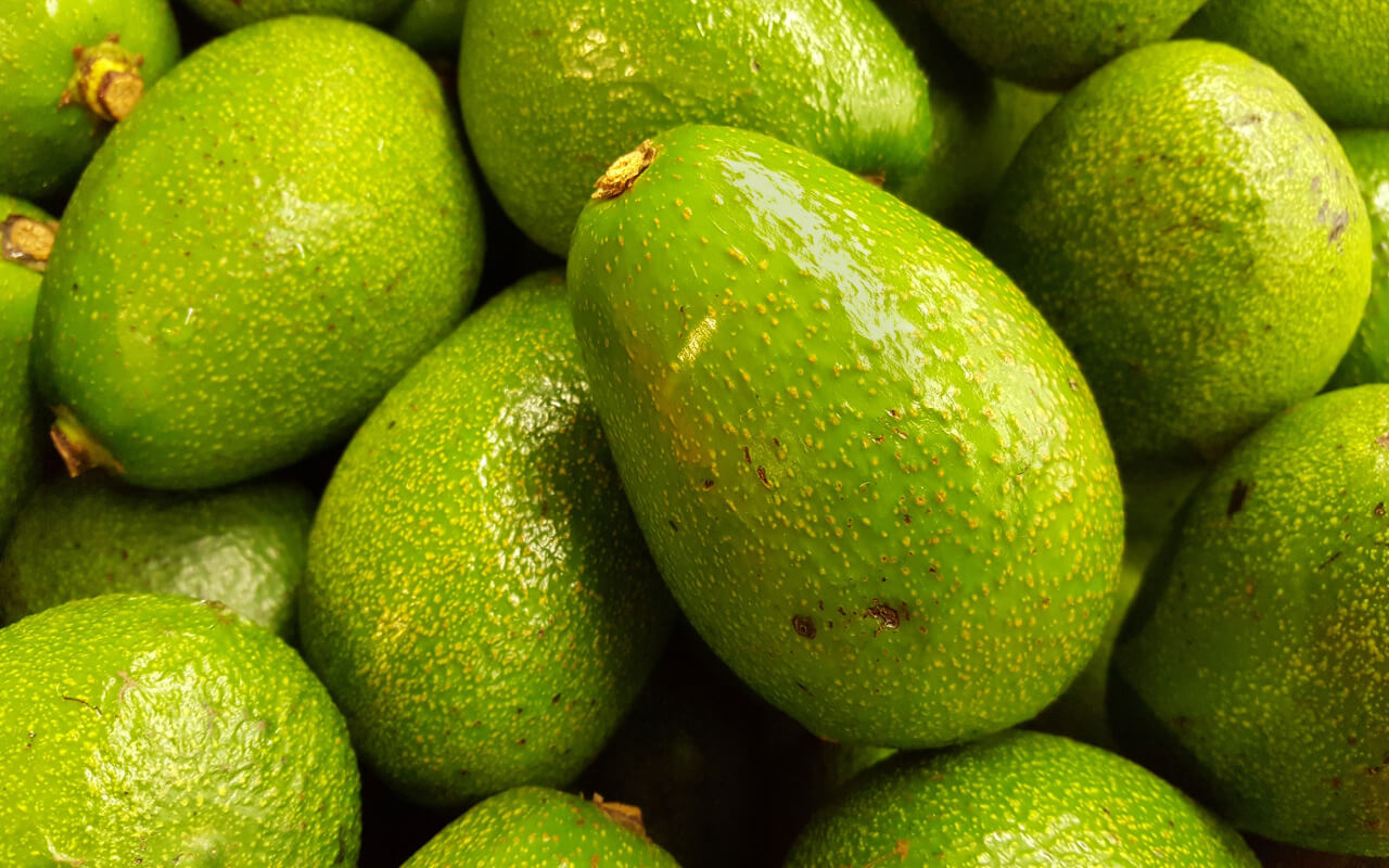 What you need to do to invest in rich avocado export business