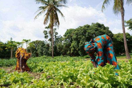 Women Farming