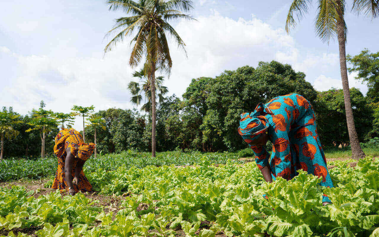 Women Farming